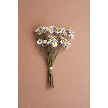 Chamomile Bundle (6 Stems) - White