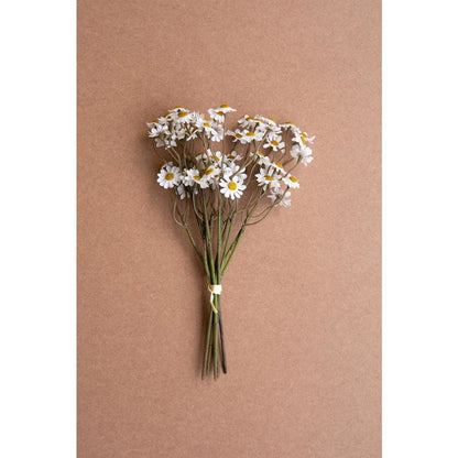 Chamomile Bundle (6 Stems) - White