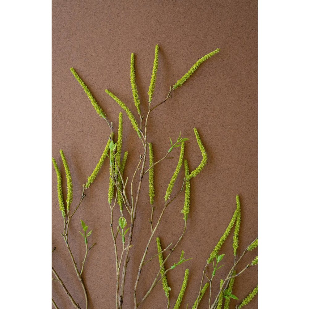 Artificial Willow Flowers Spray - Green