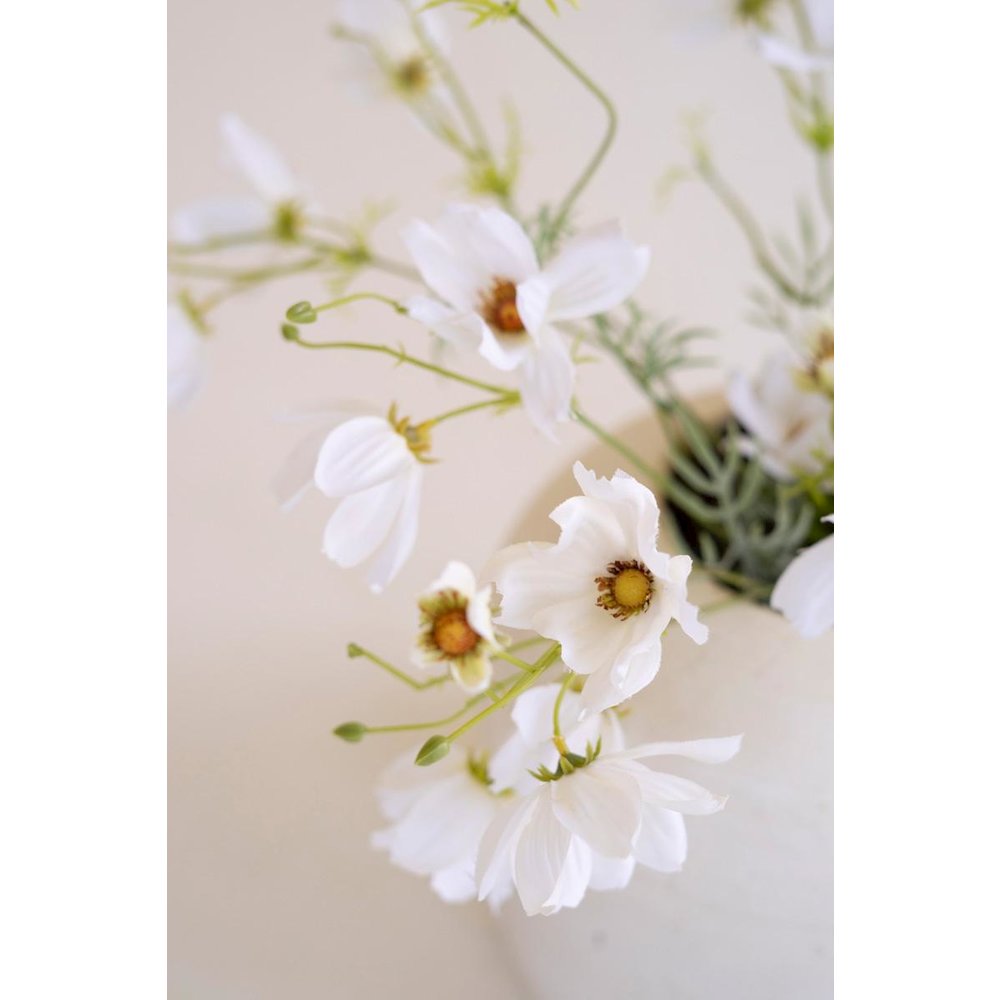 Artificial Cosmos Spray - White