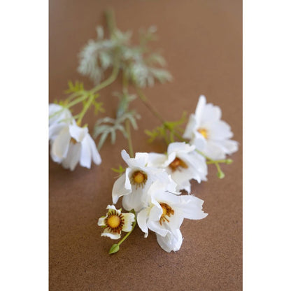 Artificial Cosmos Spray - White
