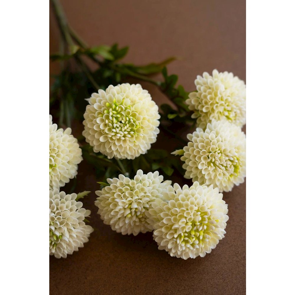 Bundle of Seven Artificial Dalhias - White