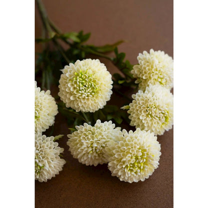 Bundle of Seven Artificial Dalhias - White