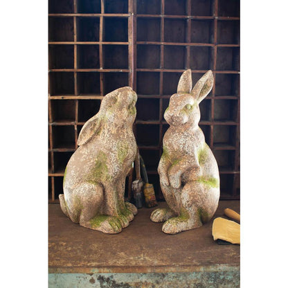 Faux Concrete Rabbit - Head Forward