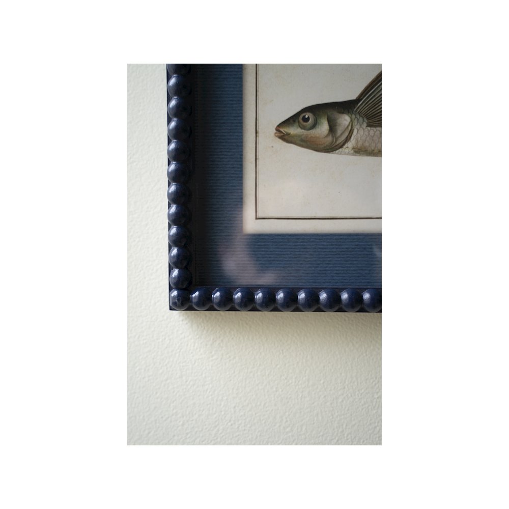 Set Of Two Navy Framed Fish Prints Under Glass