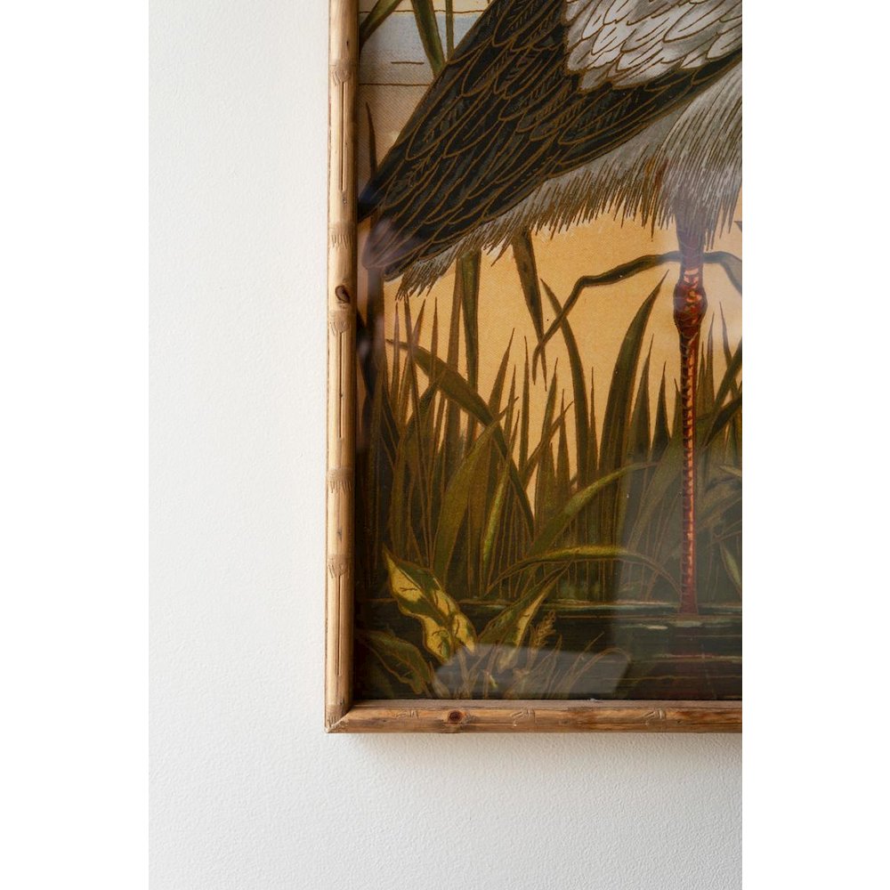 Set Of Two Framed Heron Prints Under Glass