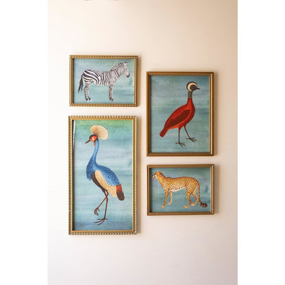 Set Of Four Framed Birds And Animal  Prints Under Glass