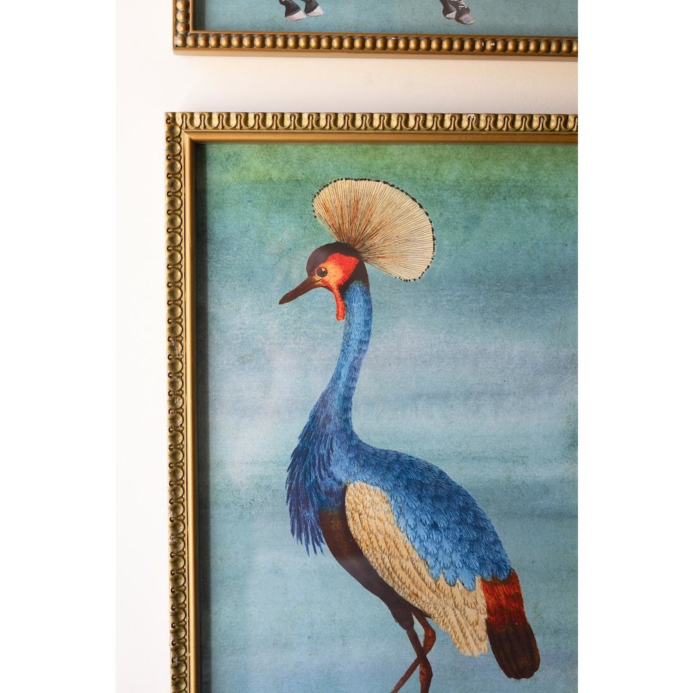 Set Of Four Framed Birds And Animal  Prints Under Glass