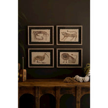 Set of Four Framed Animal Prints Under Glass