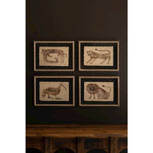 Set of Four Framed Animal Prints Under Glass
