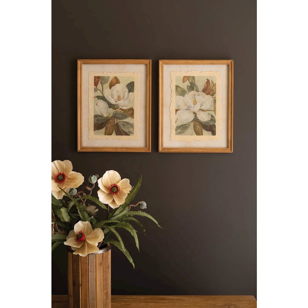 Set of Two Framed Magnolia Prints Under Glass