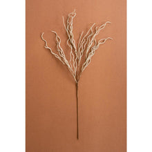 Botanica #9009