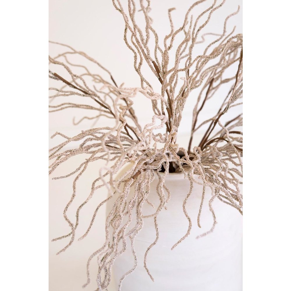 Botanica #9009