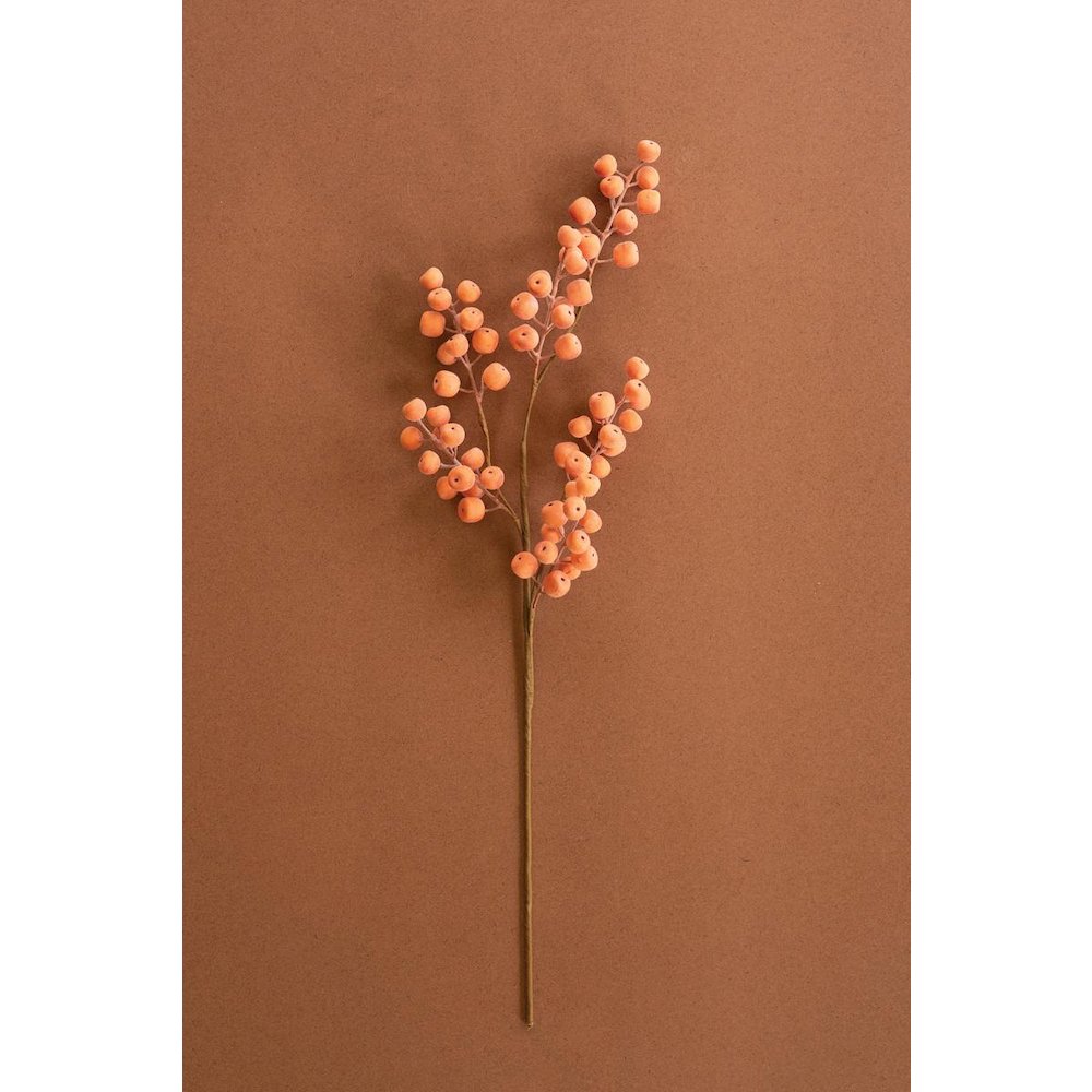 Botanica #9020