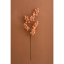 Botanica #9020