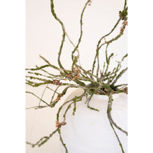 Botanica #9028