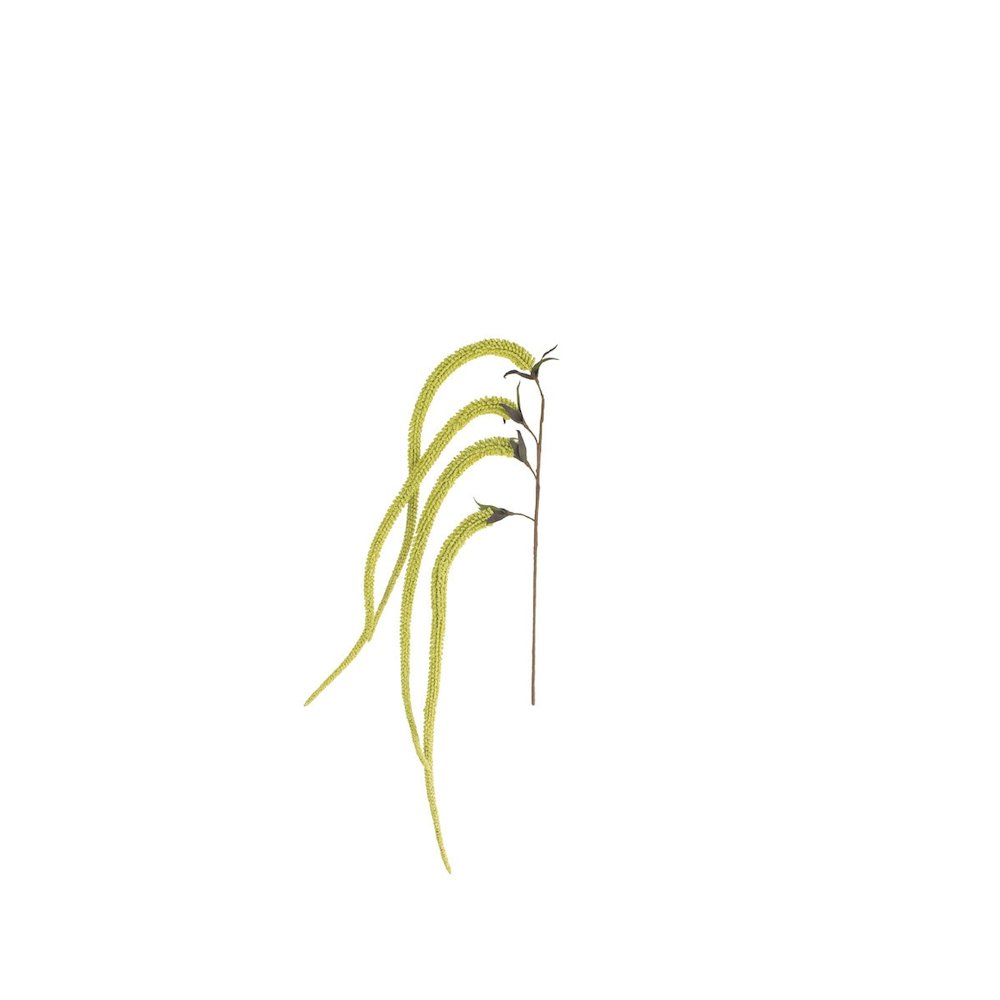 Botanica #9029