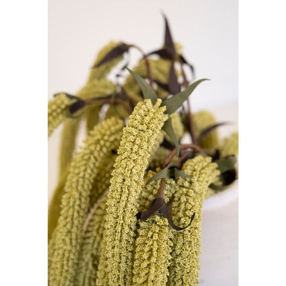 Botanica #9029