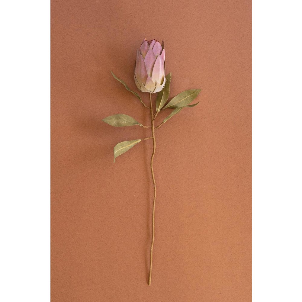 Botanica #9032