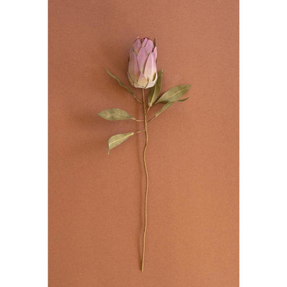 Botanica #9032