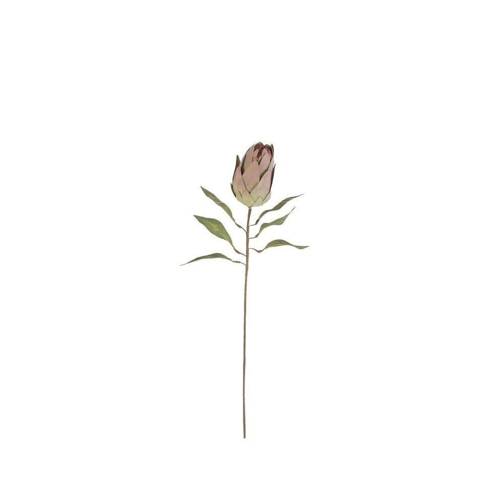 Botanica #9032