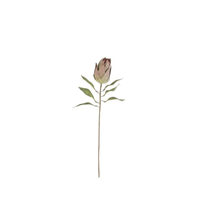 Botanica #9032