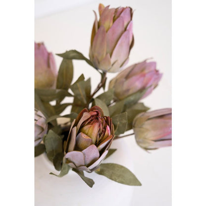Botanica #9032