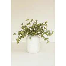 Botanica #9035