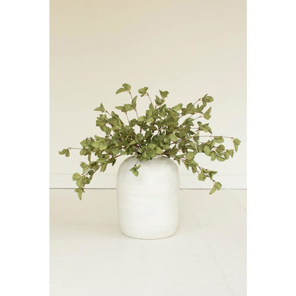 Botanica #9035