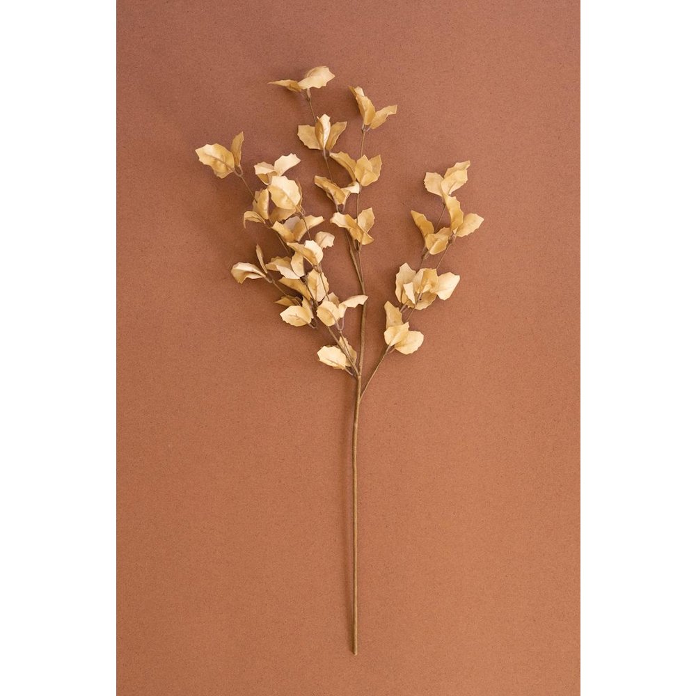 Botanica #9038