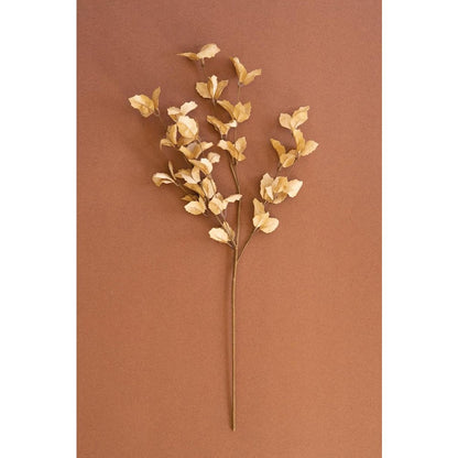 Botanica #9038