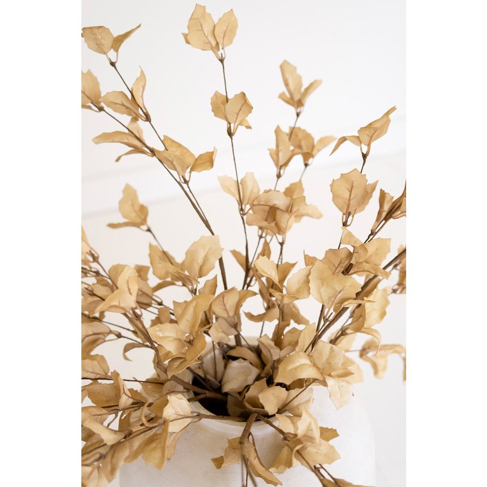 Botanica #9038