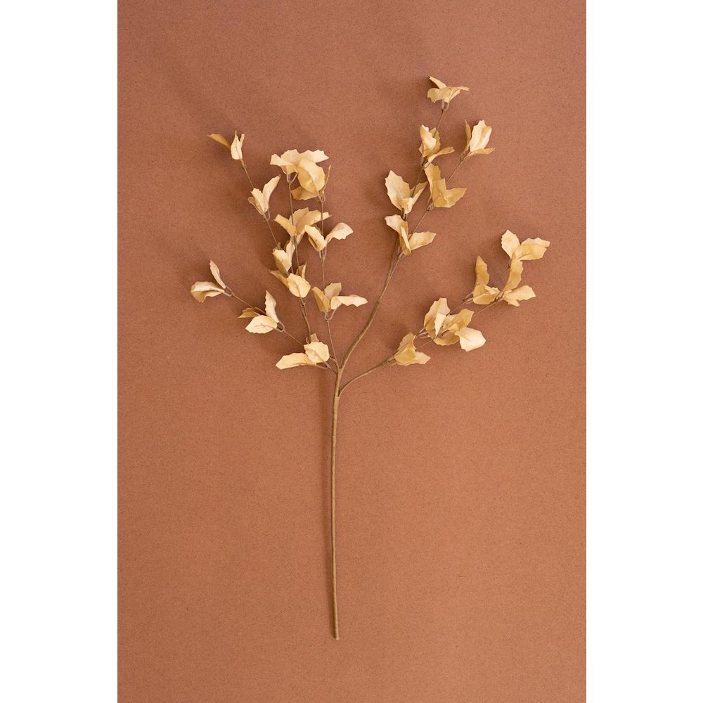Botanica #9038