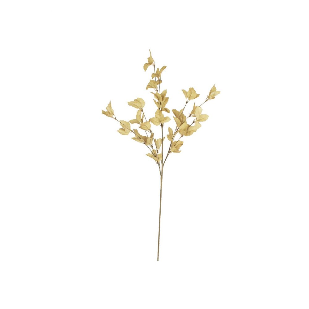 Botanica #9038