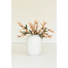 Botanica #9039