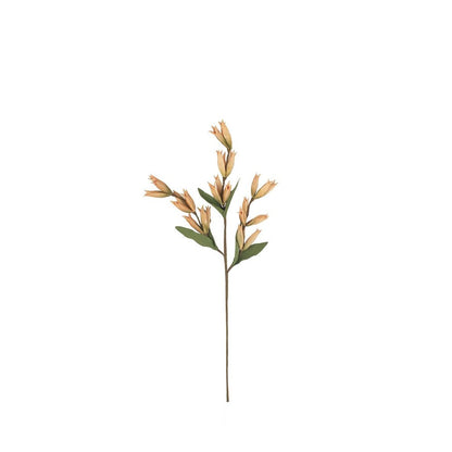 Botanica #9039