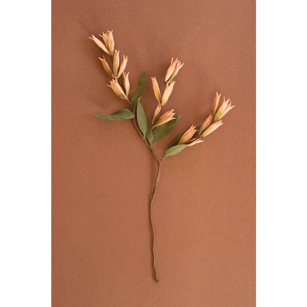 Botanica #9039