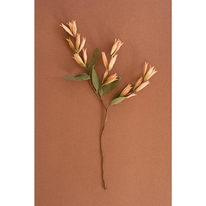 Botanica #9039