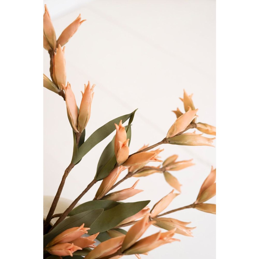 Botanica #9039