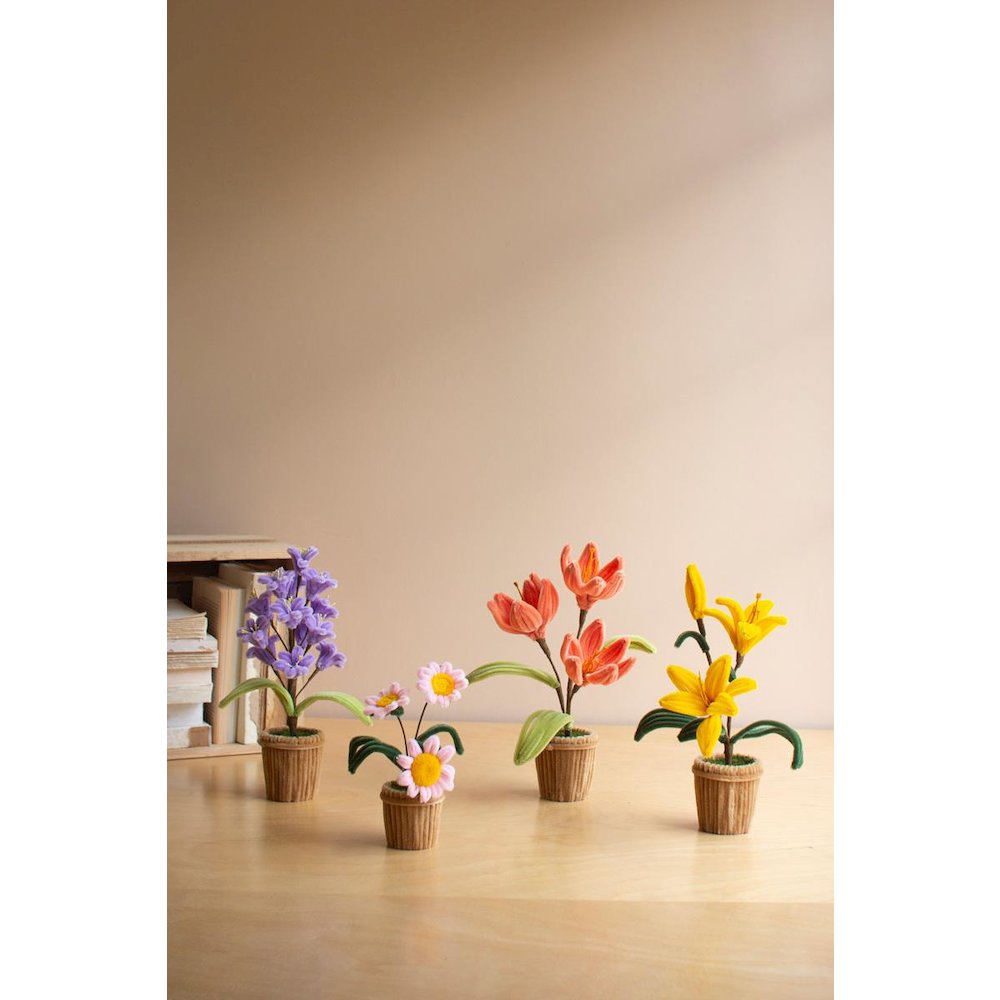 Set Of Four Potted Pipe Cleaner Botanica