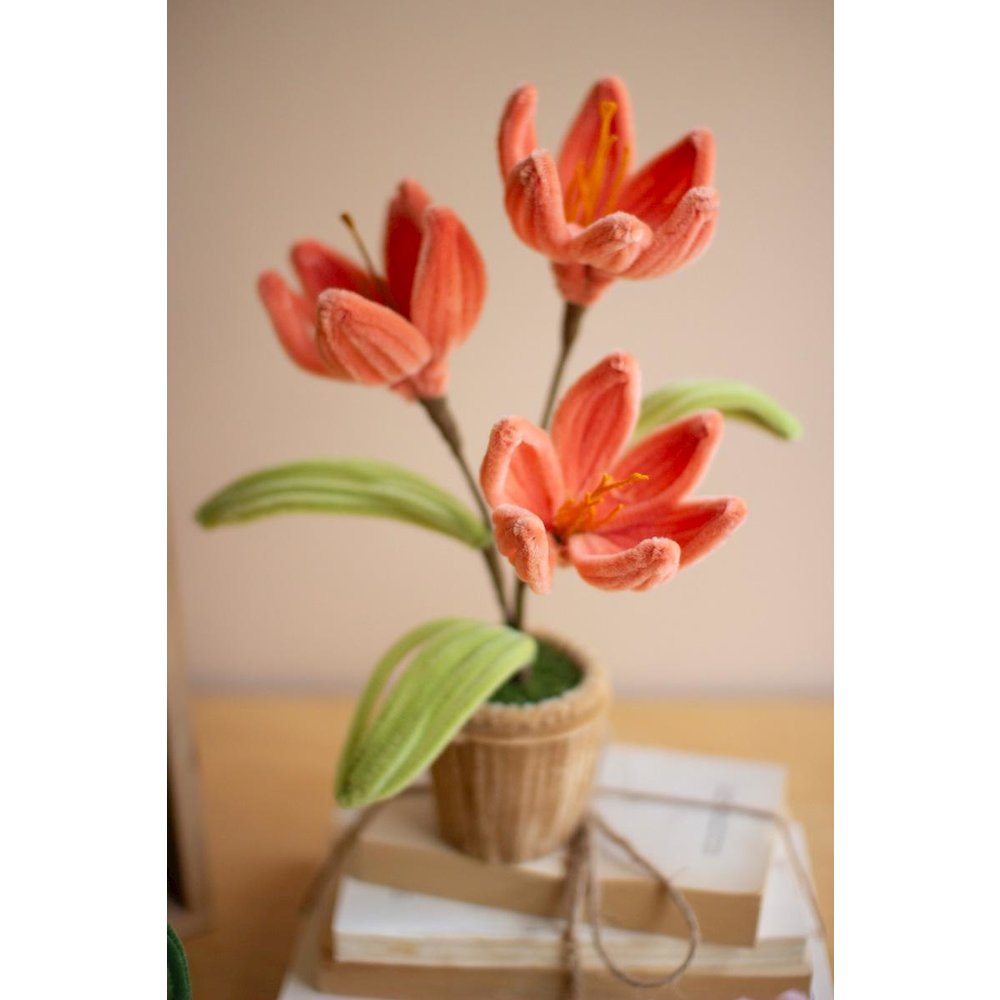 Set Of Four Potted Pipe Cleaner Botanica
