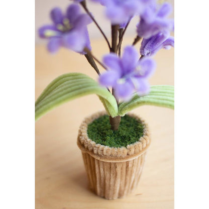 Set Of Four Potted Pipe Cleaner Botanica