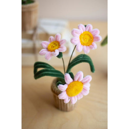 Set Of Four Potted Pipe Cleaner Botanica
