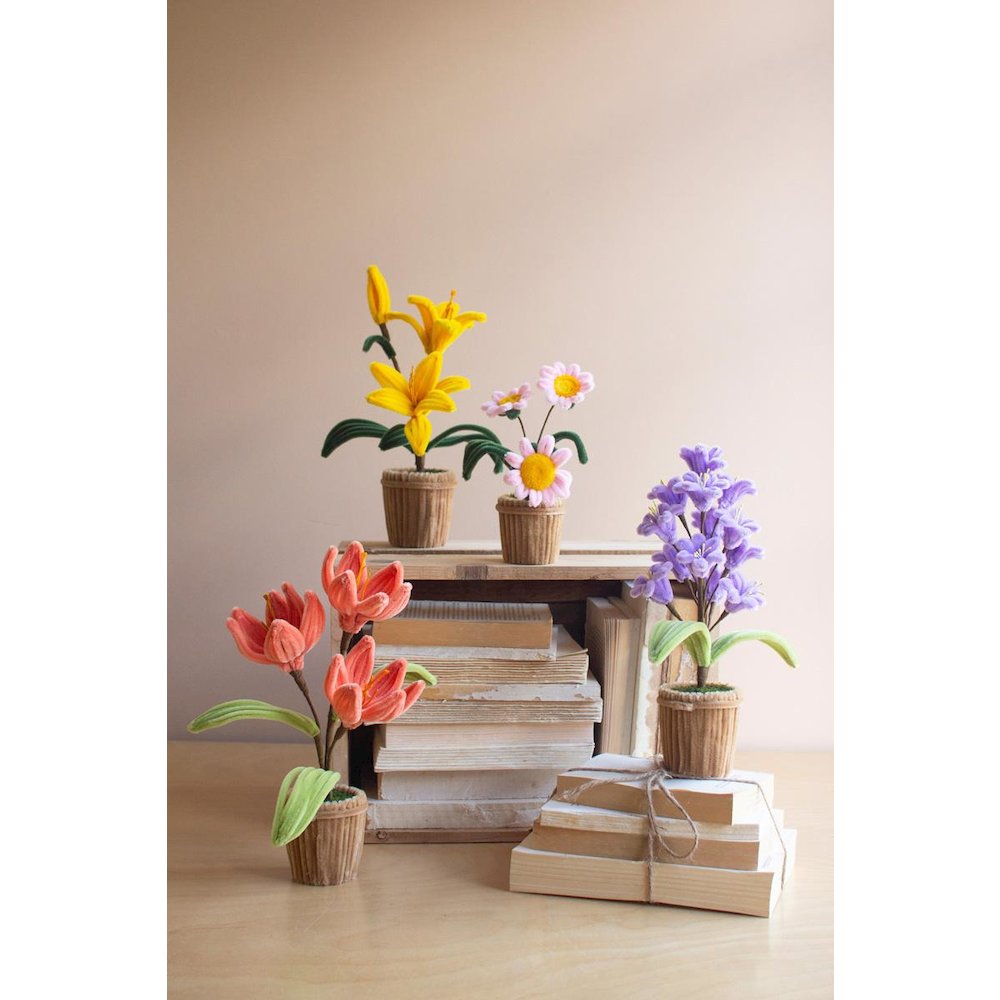 Set Of Four Potted Pipe Cleaner Botanica