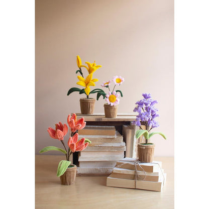 Set Of Four Potted Pipe Cleaner Botanica