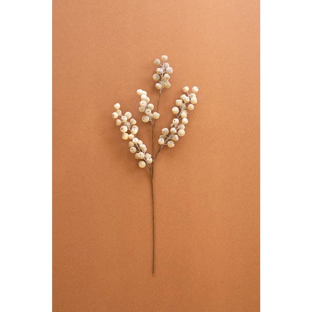 Botanica #9067