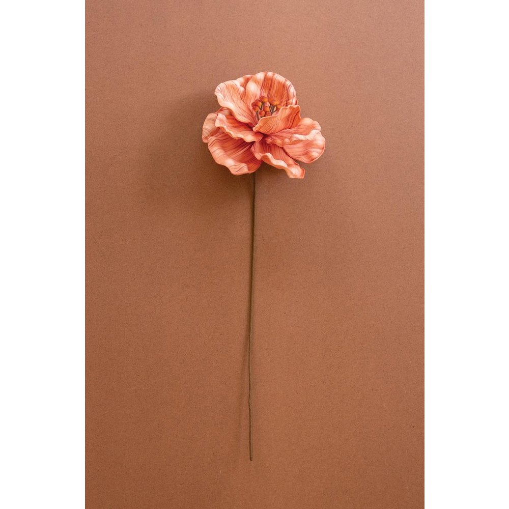 Botanica #9074