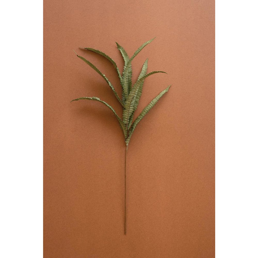 Botanica #9076