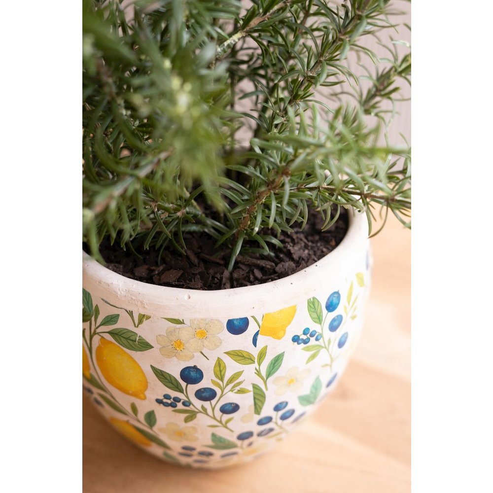 Set of Two Cement Pitcher and Vase - Lemons