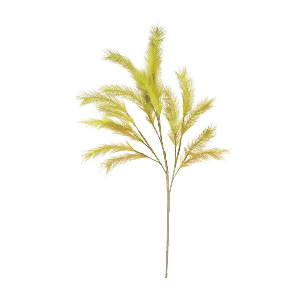 Botanica #3290